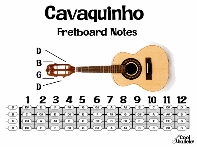 cavaquinho fretboard notes