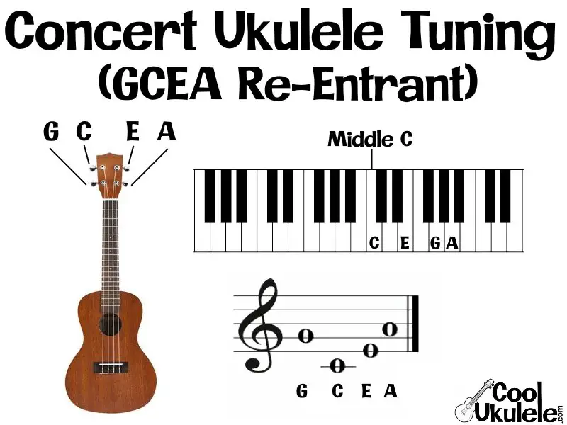 plast Instruere syreindhold Concert Ukulele Tuning - Simple How-To Guide - SMART Method |  CoolUkulele.com