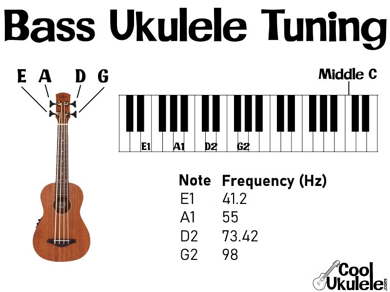 Bass Ukulele Tuning Standard Notes